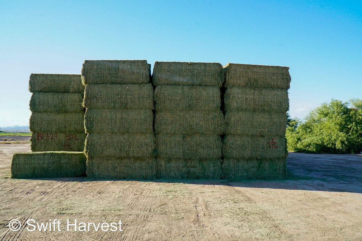 Martinez Farms Big Bale Alfalfa B1-3-24 Supreme Alfalfa Test Hay Big Bales RFV 195.94 CP 24.17 TDN 63.35 SH 93/110