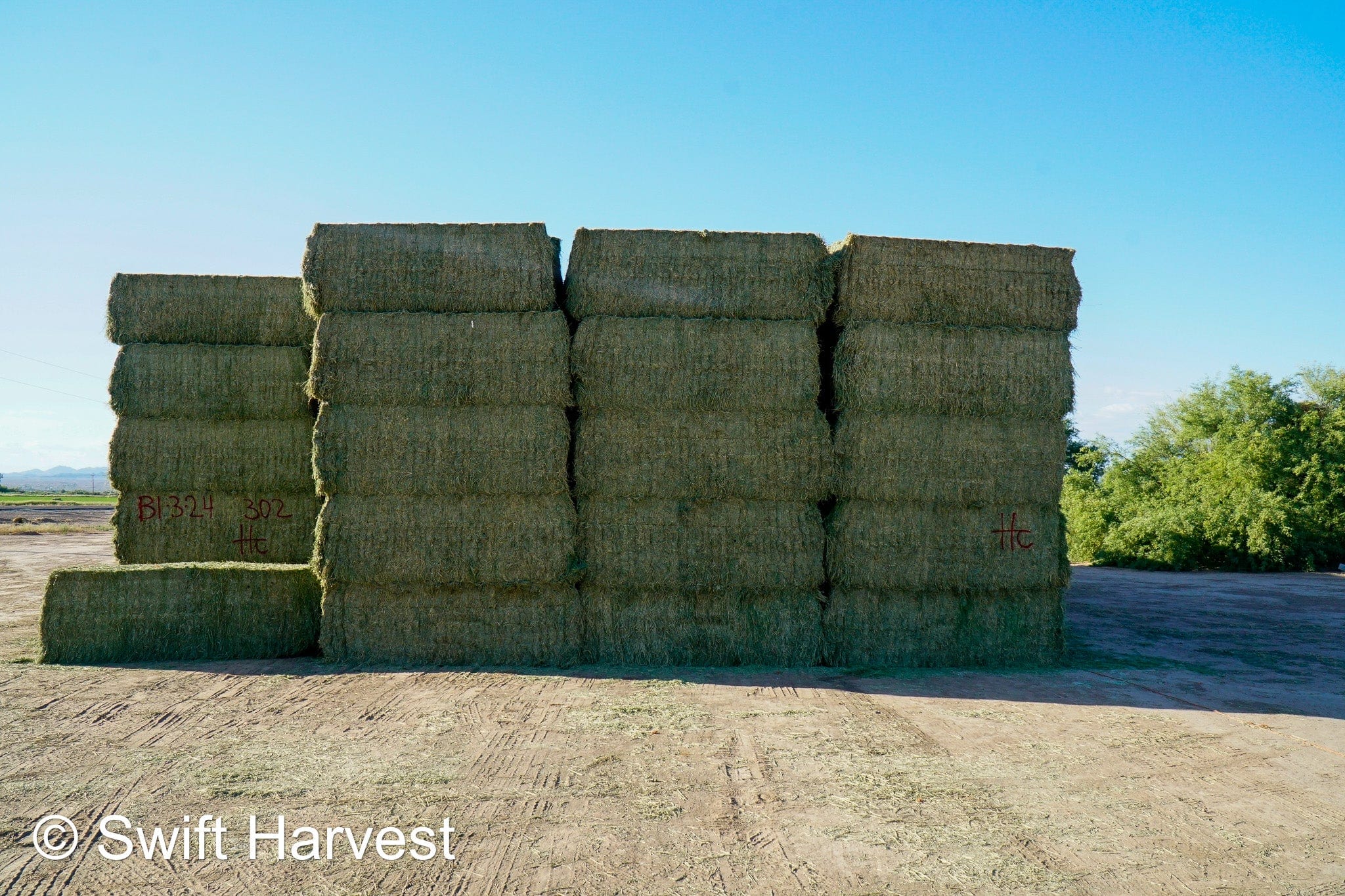 Martinez Farms Big Bale Alfalfa B1-3-24 Supreme Alfalfa Test Hay Big Bales RFV 195.94 CP 24.17 TDN 63.35 SH 93/110