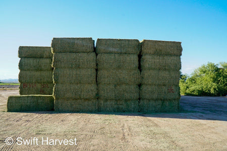 Martinez Farms Big Bale Alfalfa B1-3-24 Supreme Alfalfa Test Hay Big Bales RFV 195.94 CP 24.17 TDN 63.35 SH 93/110