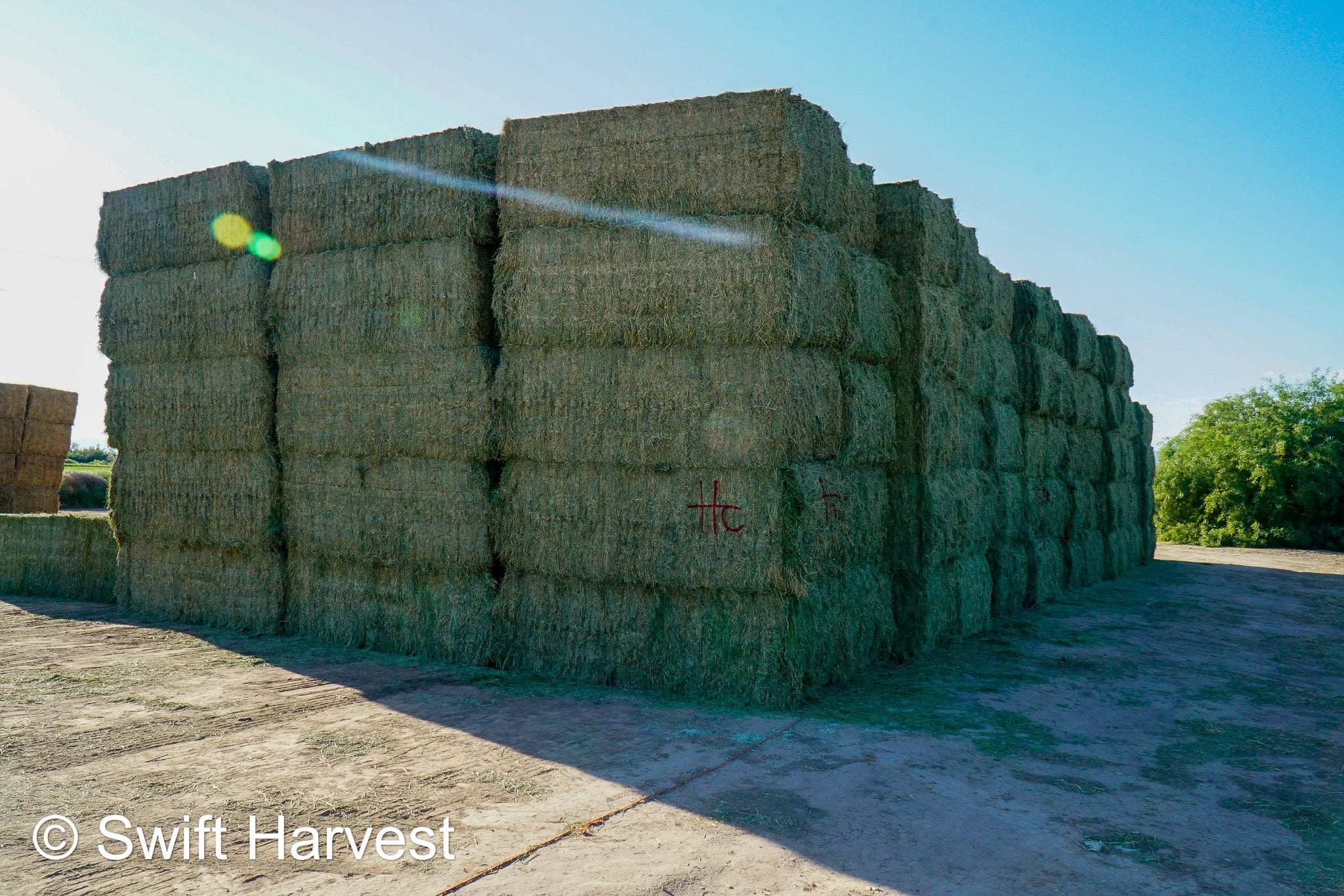 Martinez Farms Big Bale Alfalfa B1-3-24 Supreme Alfalfa Test Hay Big Bales RFV 195.94 CP 24.17 TDN 63.35 SH 93/110