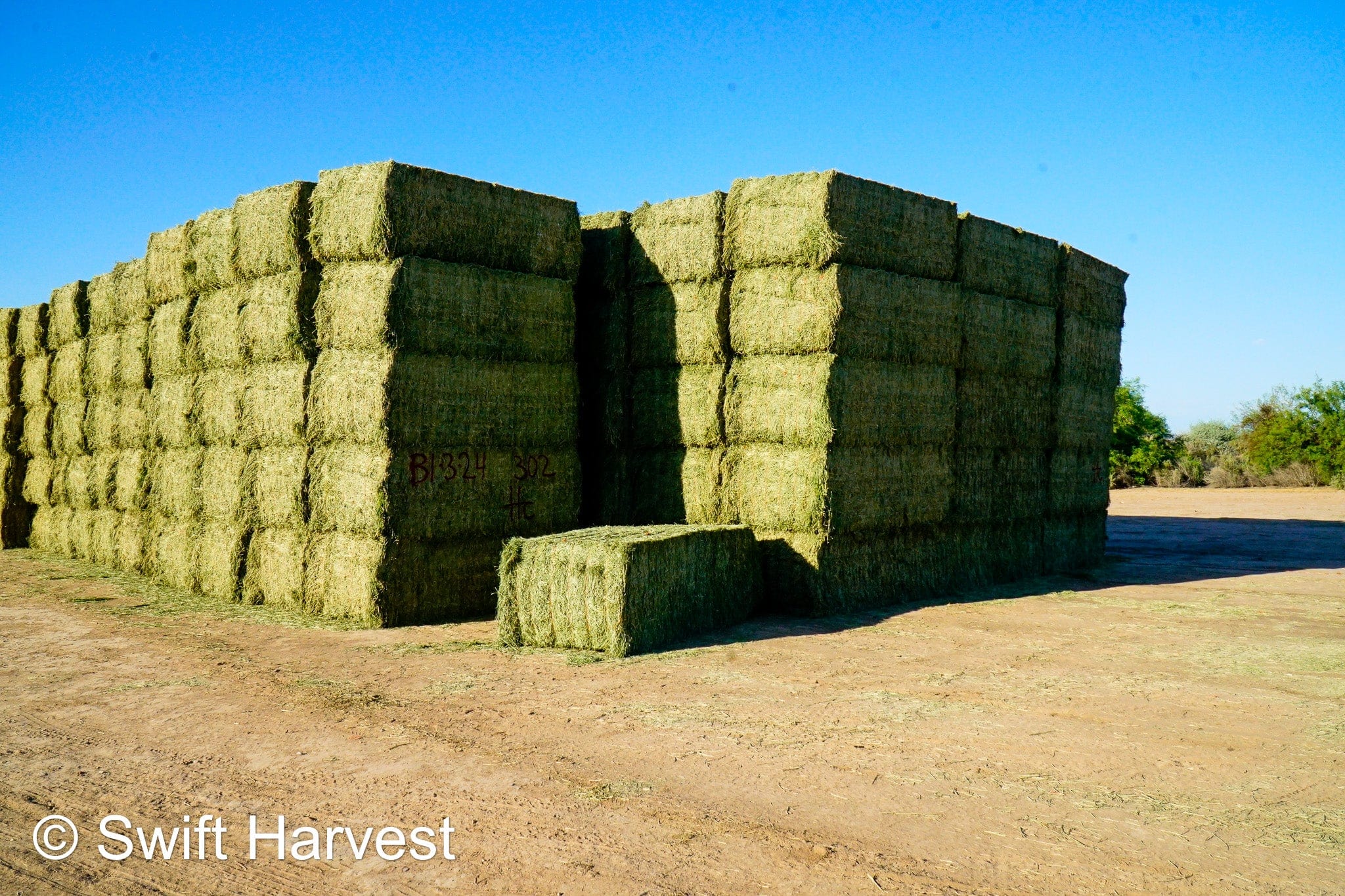 Martinez Farms Big Bale Alfalfa B1-3-24 Supreme Alfalfa Test Hay Big Bales RFV 195.94 CP 24.17 TDN 63.35 SH 93/110