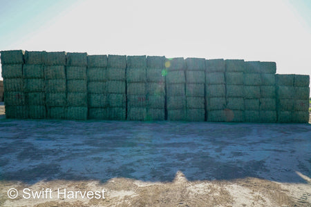 Martinez Farms Big Bale Alfalfa B1-3-24 Supreme Alfalfa Test Hay Big Bales RFV 195.94 CP 24.17 TDN 63.35 SH 93/110