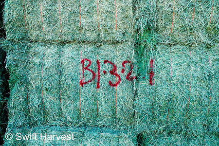 Martinez Farms Big Bale Alfalfa B1-3-24 Supreme Alfalfa Test Hay Big Bales RFV 195.94 CP 24.17 TDN 63.35 SH 93/110