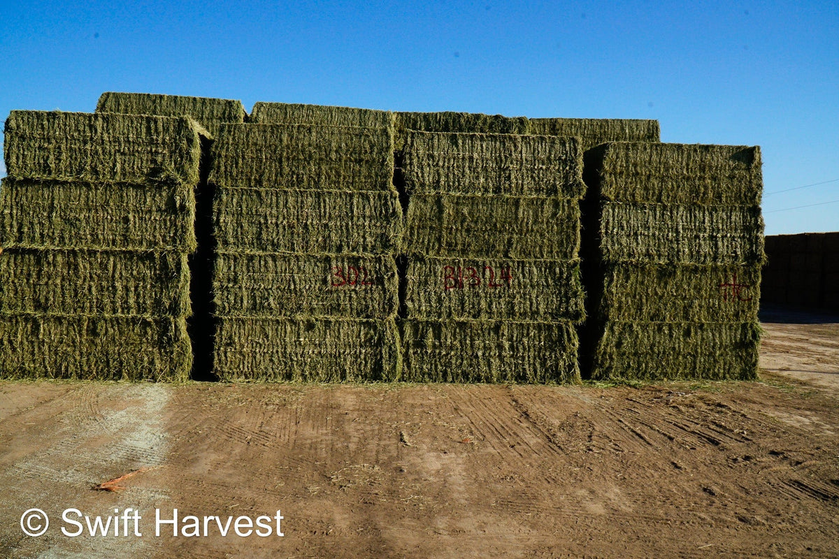 Martinez Farms Big Bale Alfalfa B1-3-24 Supreme Alfalfa Test Hay Big Bales RFV 195.94 CP 24.17 TDN 63.35 SH 93/110