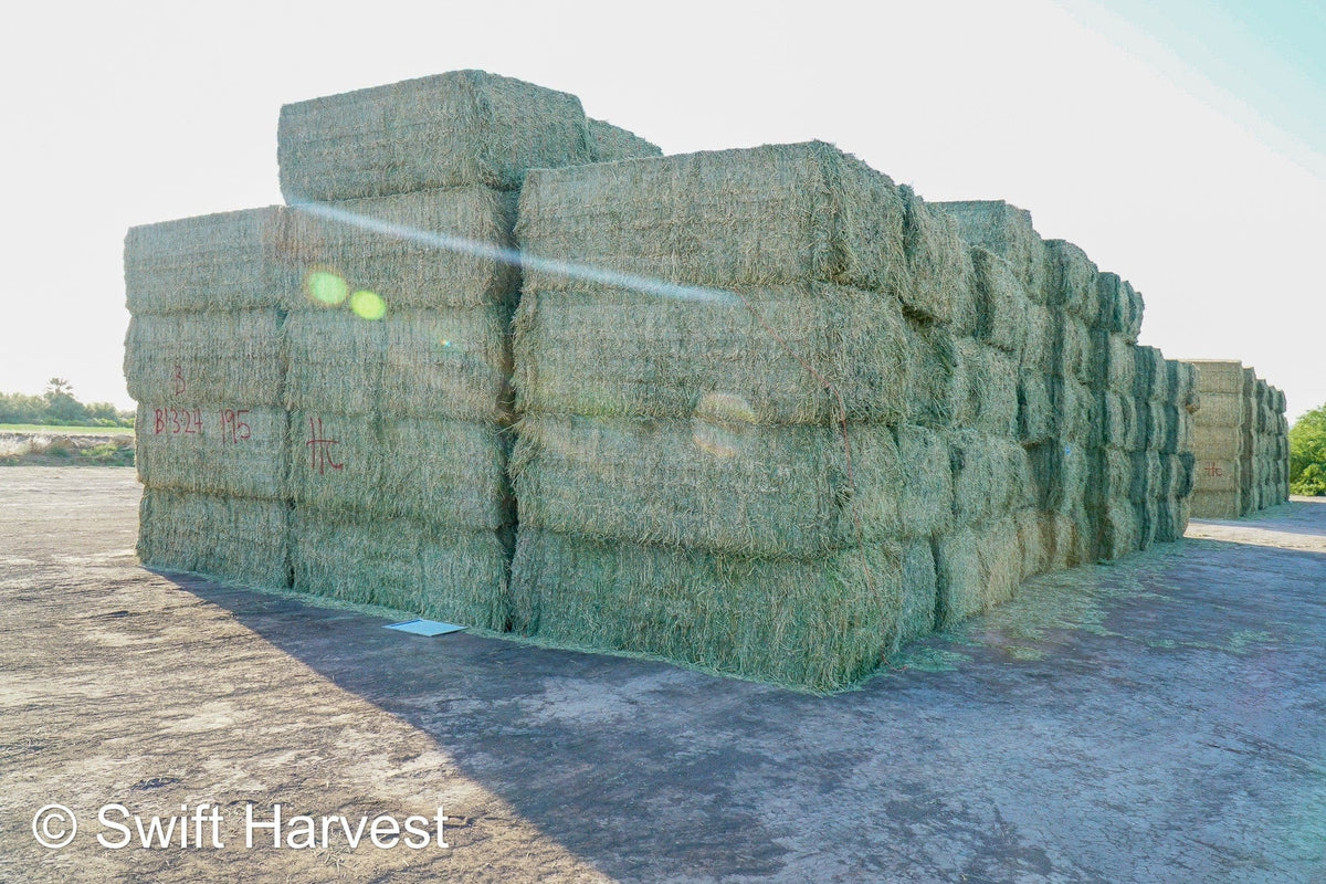 Martinez Farms Big Bale Alfalfa B1-3-24B Supreme Alfalfa Test Hay Big Bales RFV 198.04 CP 26.24 TDN 61.30 SH 88/110