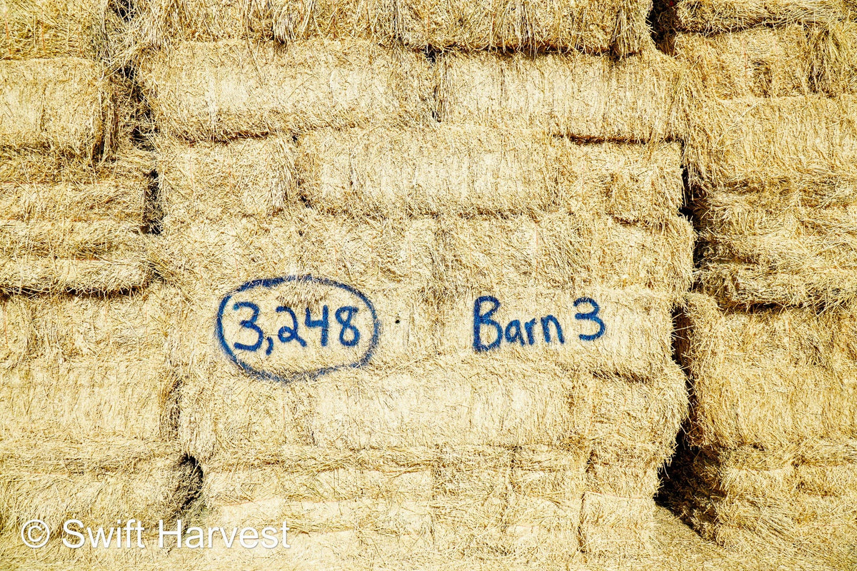 Martinez Farms Big Bale Alfalfa Barn #3  Premium/Supreme AZ Alfalfa Test Hay Small Bales CP 20 RFV 165 TDN 61  FACS 84/110