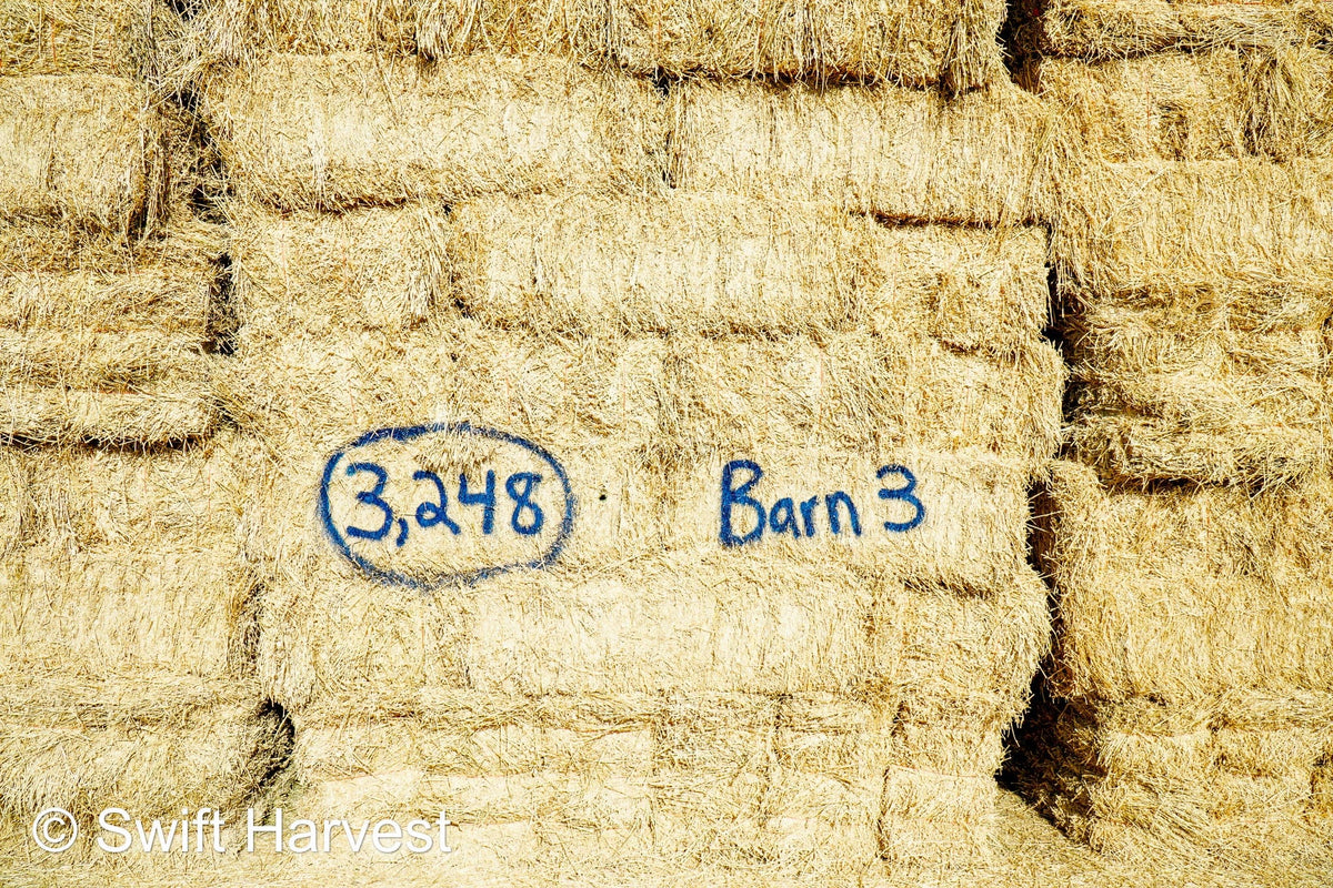 Martinez Farms Big Bale Alfalfa Barn #3  Premium/Supreme AZ Alfalfa Test Hay Small Bales CP 20 RFV 165 TDN 61  FACS 84/110