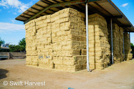 Martinez Farms Big Bale Alfalfa Barn #3  Premium/Supreme AZ Alfalfa Test Hay Small Bales CP 20 RFV 165 TDN 61  FACS 84/110