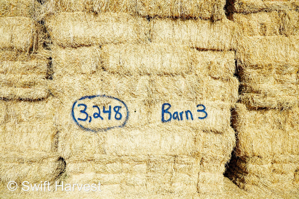 Martinez Farms Big Bale Alfalfa Barn #3  Premium/Supreme AZ Alfalfa Test Hay Small Bales CP 20 RFV 165 TDN 61  FACS 84/110