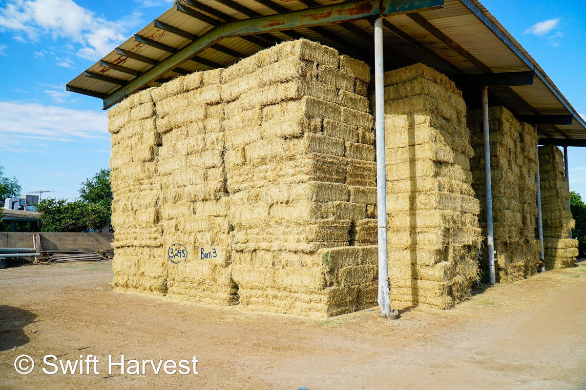 Martinez Farms Big Bale Alfalfa Barn #3  Premium/Supreme AZ Alfalfa Test Hay Small Bales CP 20 RFV 165 TDN 61  FACS 84/110