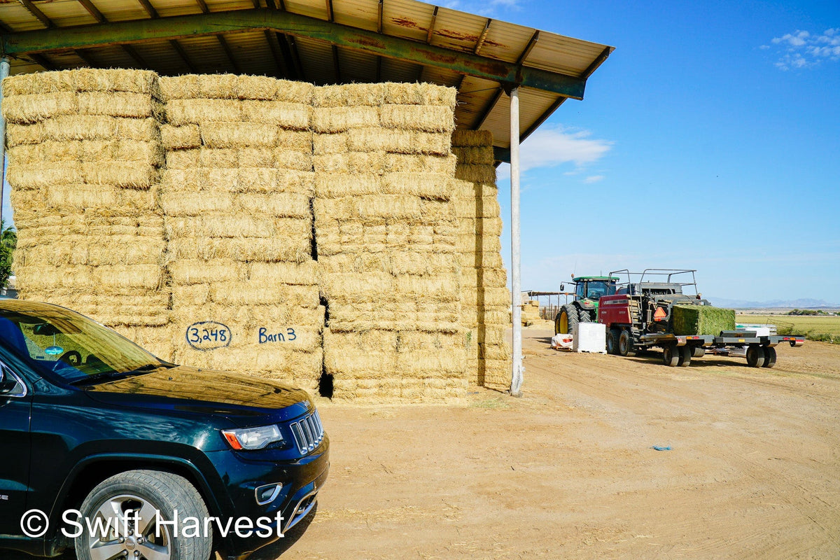 Martinez Farms Big Bale Alfalfa Barn #3  Premium/Supreme AZ Alfalfa Test Hay Small Bales CP 20 RFV 165 TDN 61  FACS 84/110