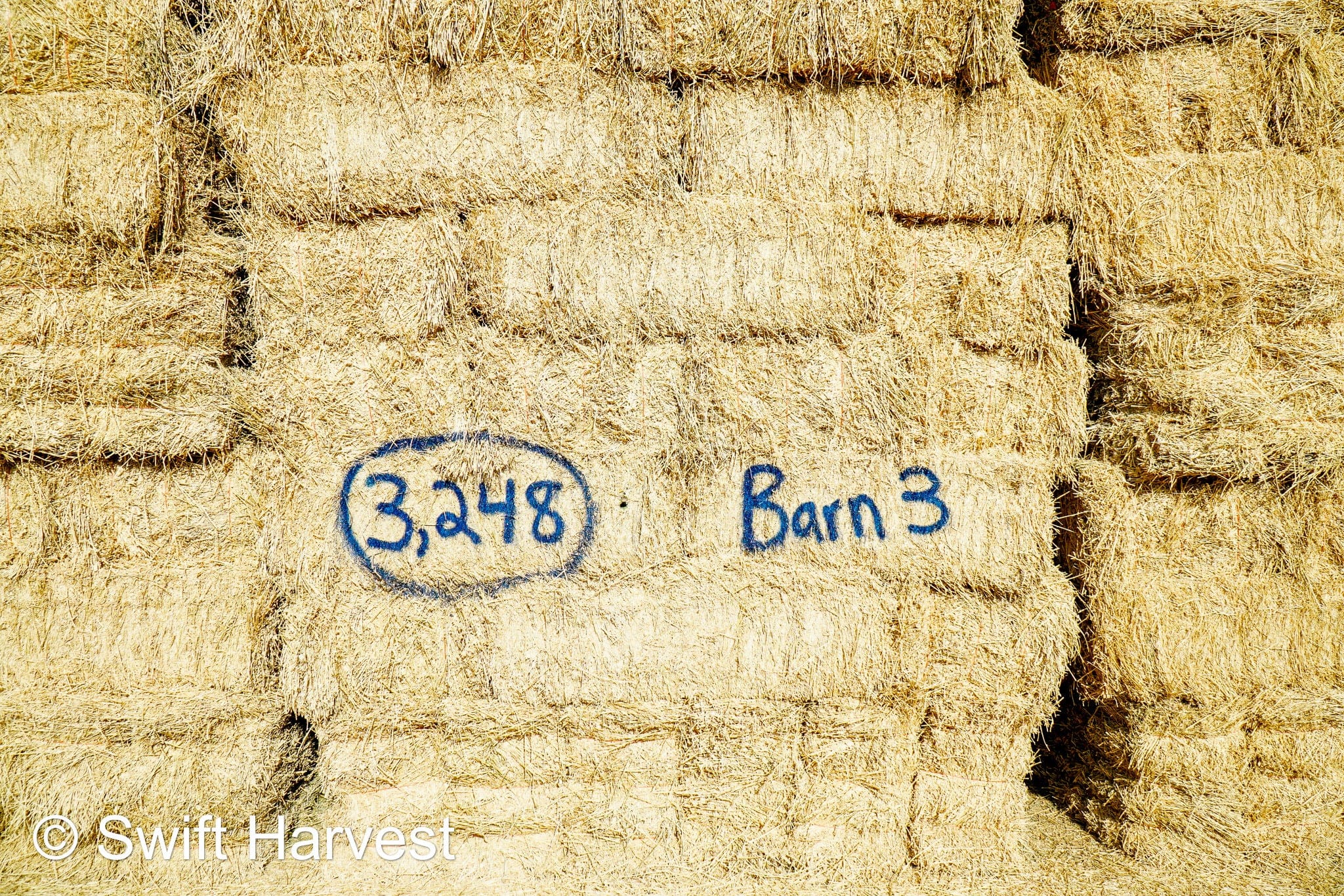 Martinez Farms Big Bale Alfalfa Barn #3  Premium/Supreme AZ Alfalfa Test Hay Small Bales CP 20 RFV 165 TDN 61  FACS 84/110