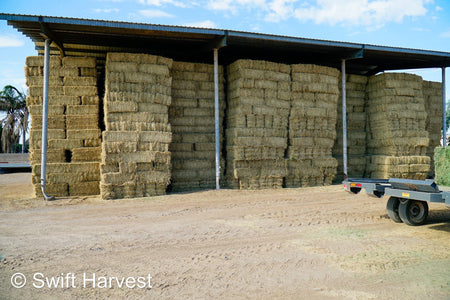 Martinez Farms Big Bale Alfalfa Barn #3  Premium/Supreme AZ Alfalfa Test Hay Small Bales CP 20 RFV 165 TDN 61  FACS 84/110