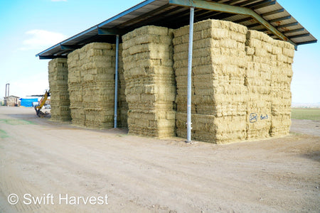 Martinez Farms Big Bale Alfalfa Barn #3  Premium/Supreme AZ Alfalfa Test Hay Small Bales CP 20 RFV 165 TDN 61  FACS 84/110