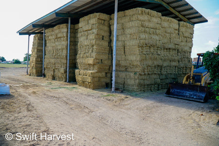 Martinez Farms Big Bale Alfalfa Barn #3  Premium/Supreme AZ Alfalfa Test Hay Small Bales CP 20 RFV 165 TDN 61  FACS 84/110