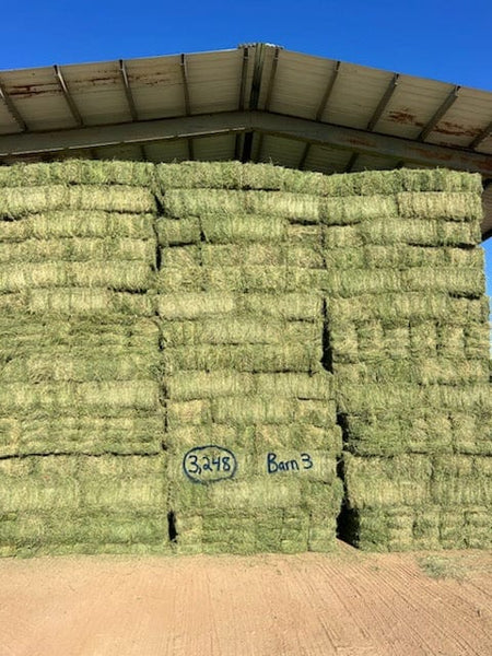 Martinez Farms Big Bale Alfalfa Barn #3  Supreme Alfalfa Test Hay Small Bales