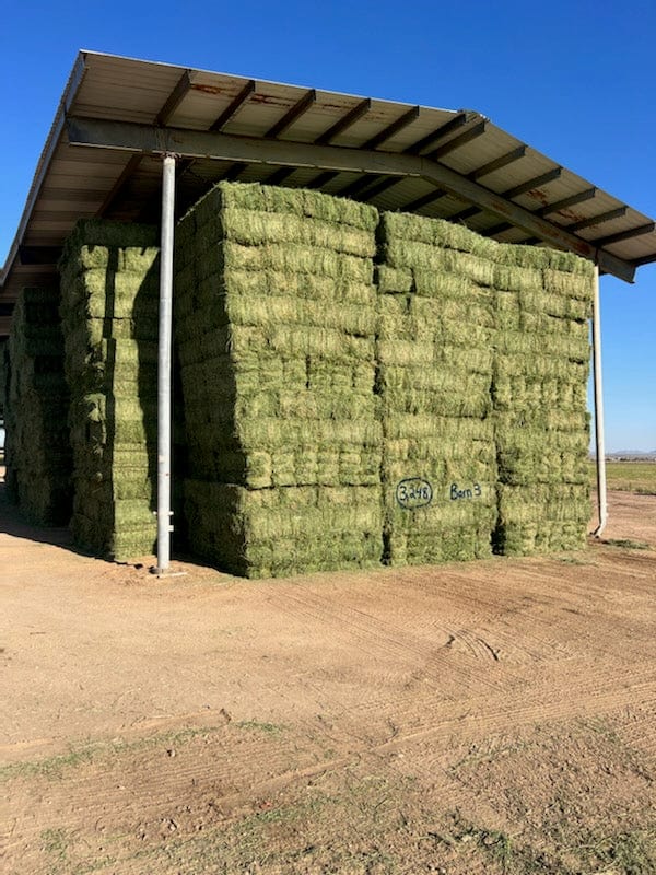 Martinez Farms Big Bale Alfalfa Barn #3  Supreme Alfalfa Test Hay Small Bales