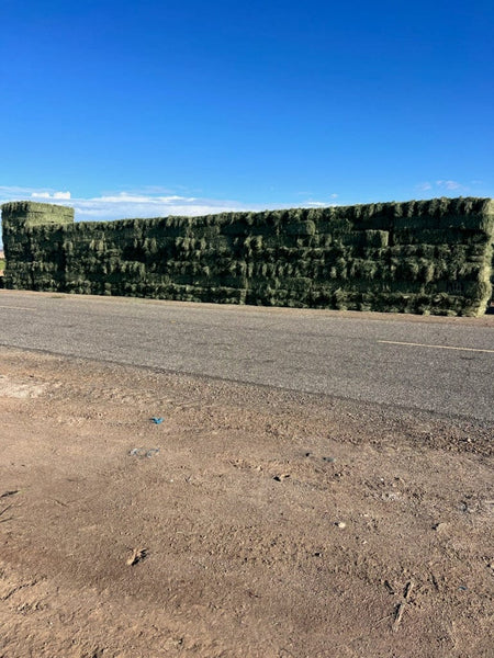 Martinez Farms Retail Bermuda Hay Bermuda 3-String Hay under 100 lbs M1-1