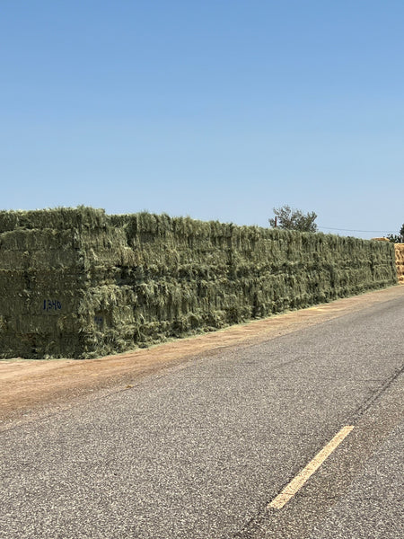 Martinez Farms Retail Bermuda Hay M1-4-24 Bermuda 3-String Hay under 100 lbs