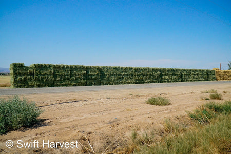 Martinez Farms Retail Bermuda Hay M1-4 AZ Bermuda Small Bales 106/110