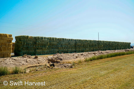 Martinez Farms Retail Bermuda Hay M1-4 AZ Bermuda Small Bales 106/110