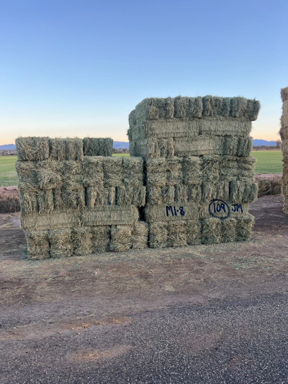 Martinez Farms Retail Bermuda Hay M1-8 AZ Bermuda Small Bales