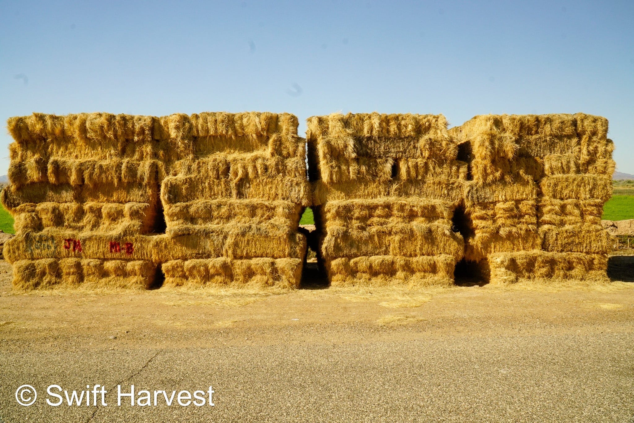 Martinez Farms Retail Bermuda Hay M1-B Bermuda 3-String Hay under 100 lbs