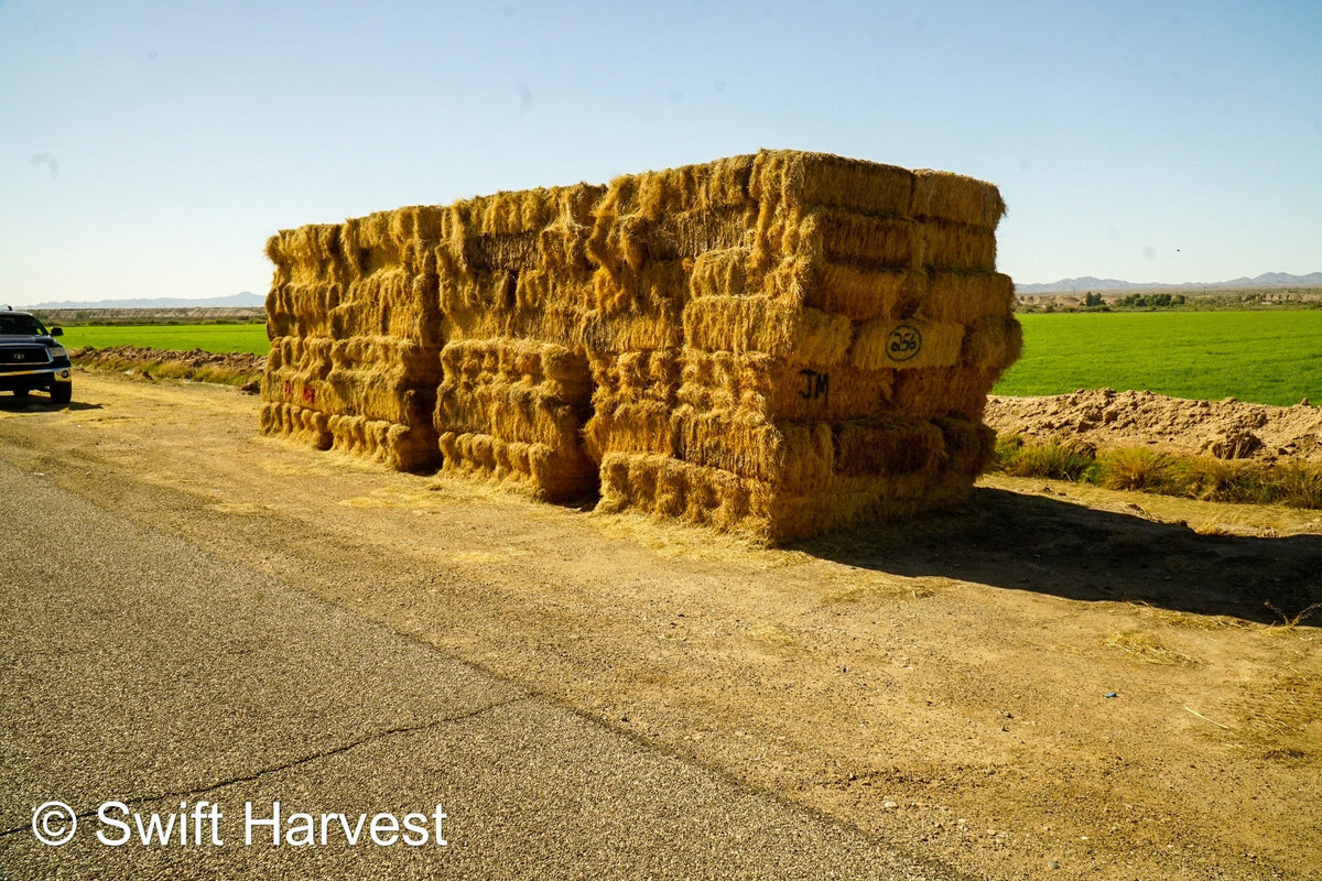 Martinez Farms Retail Bermuda Hay M1-B Bermuda 3-String Hay under 100 lbs