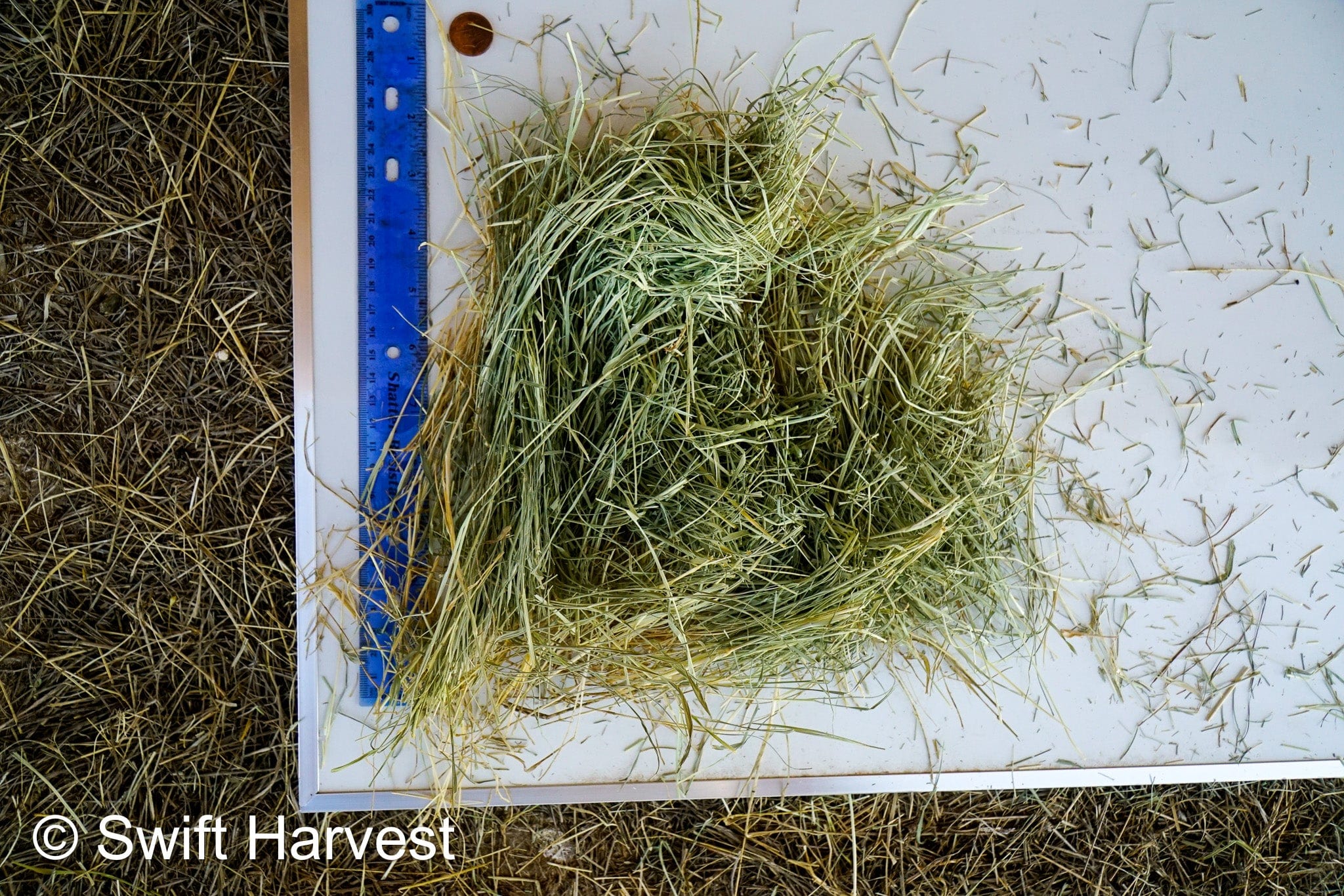 Martinez Farms Retail Bermuda Hay M1-B Bermuda 3-String Hay under 100 lbs