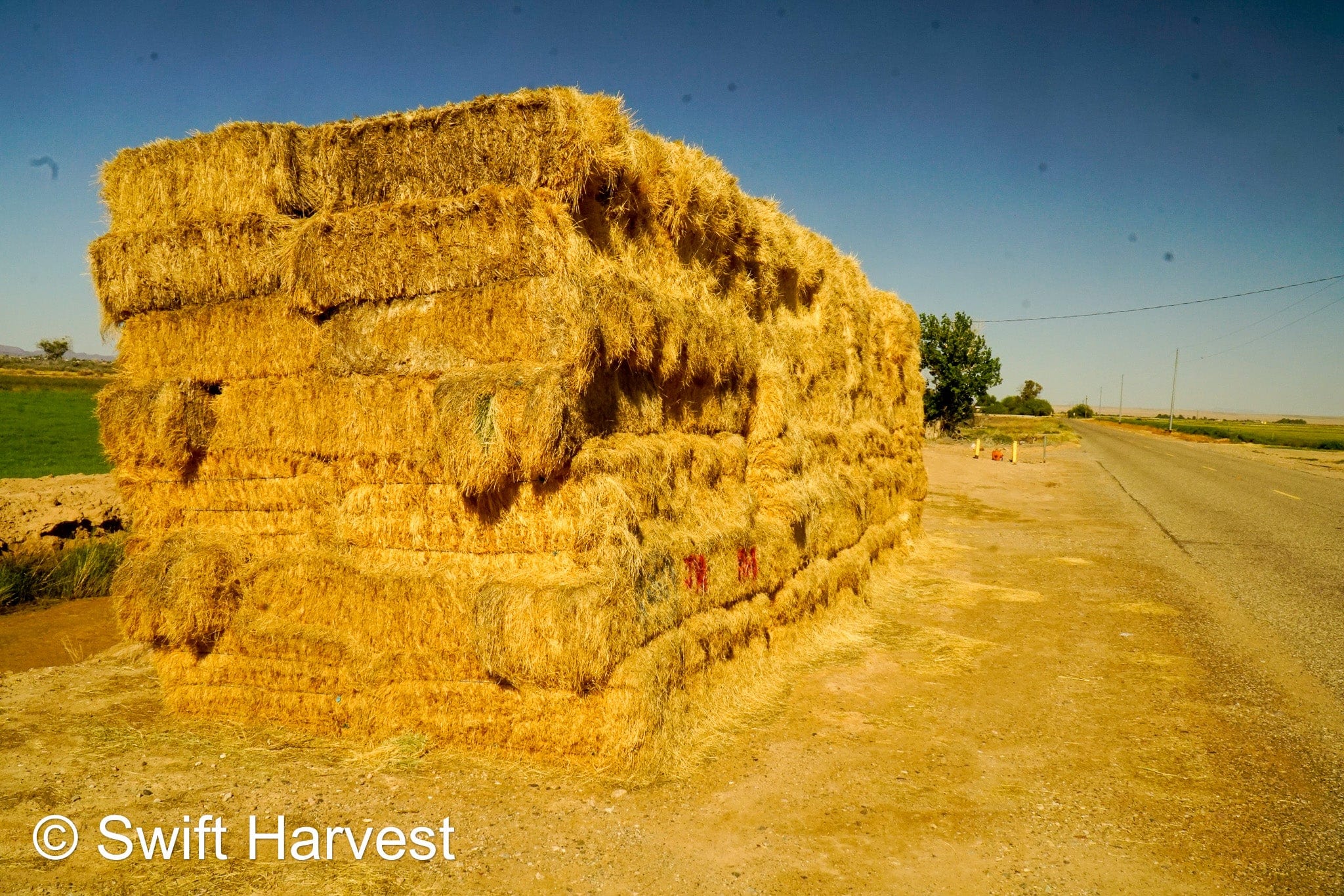 Martinez Farms Retail Bermuda Hay M1-B Bermuda 3-String Hay under 100 lbs