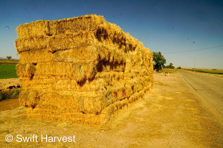 Martinez Farms Retail Bermuda Hay M1-B Bermuda 3-String Hay under 100 lbs