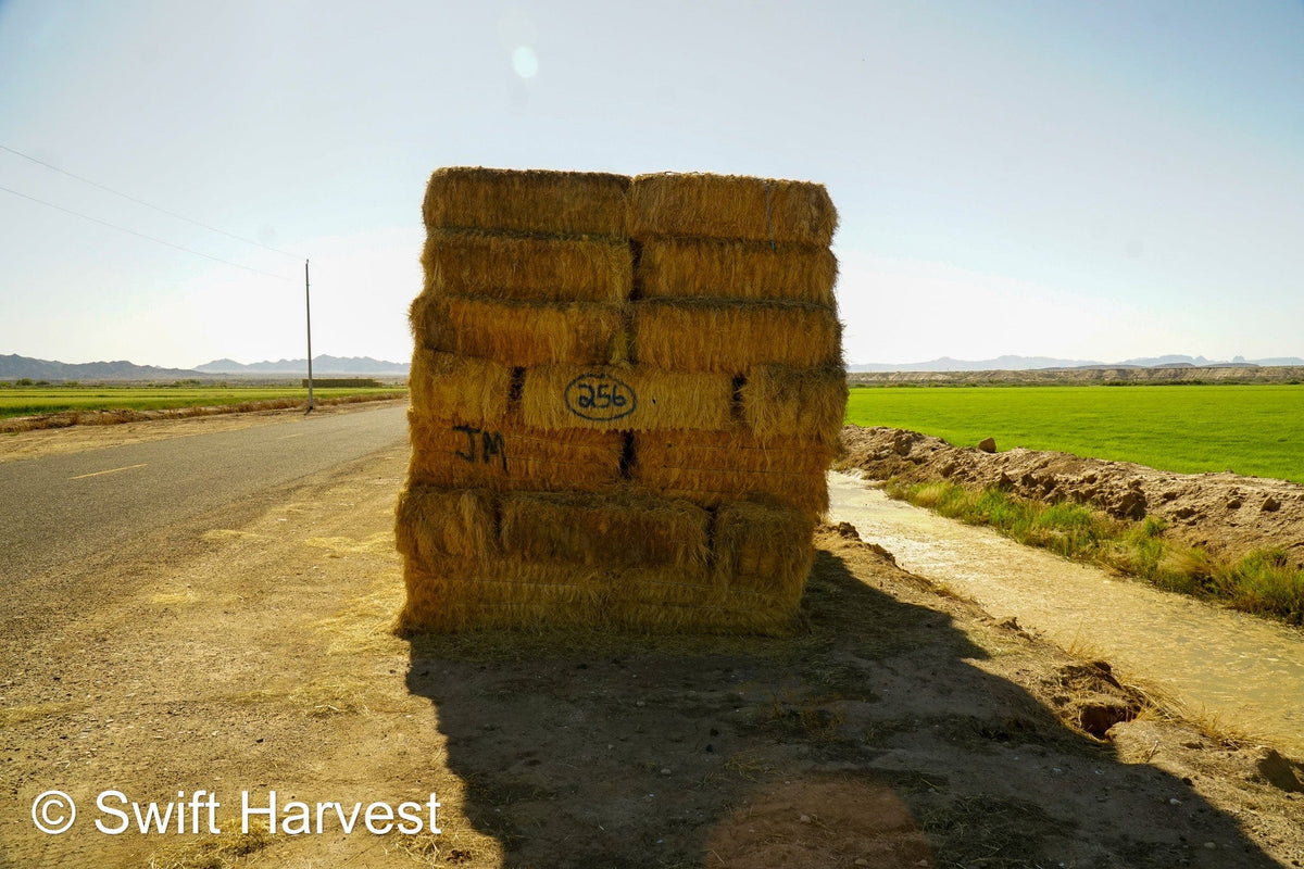 Martinez Farms Retail Bermuda Hay M1-B Bermuda 3-String Hay under 100 lbs