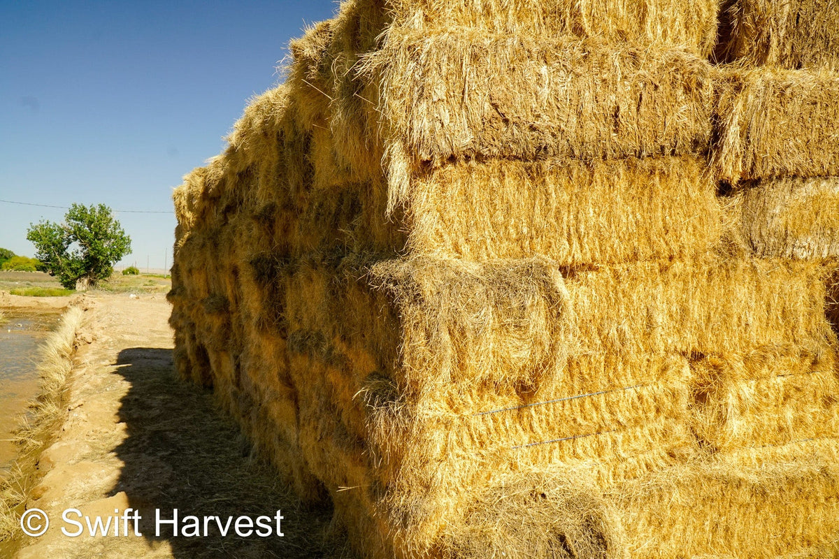 Martinez Farms Retail Bermuda Hay M1-B Bermuda 3-String Hay under 100 lbs