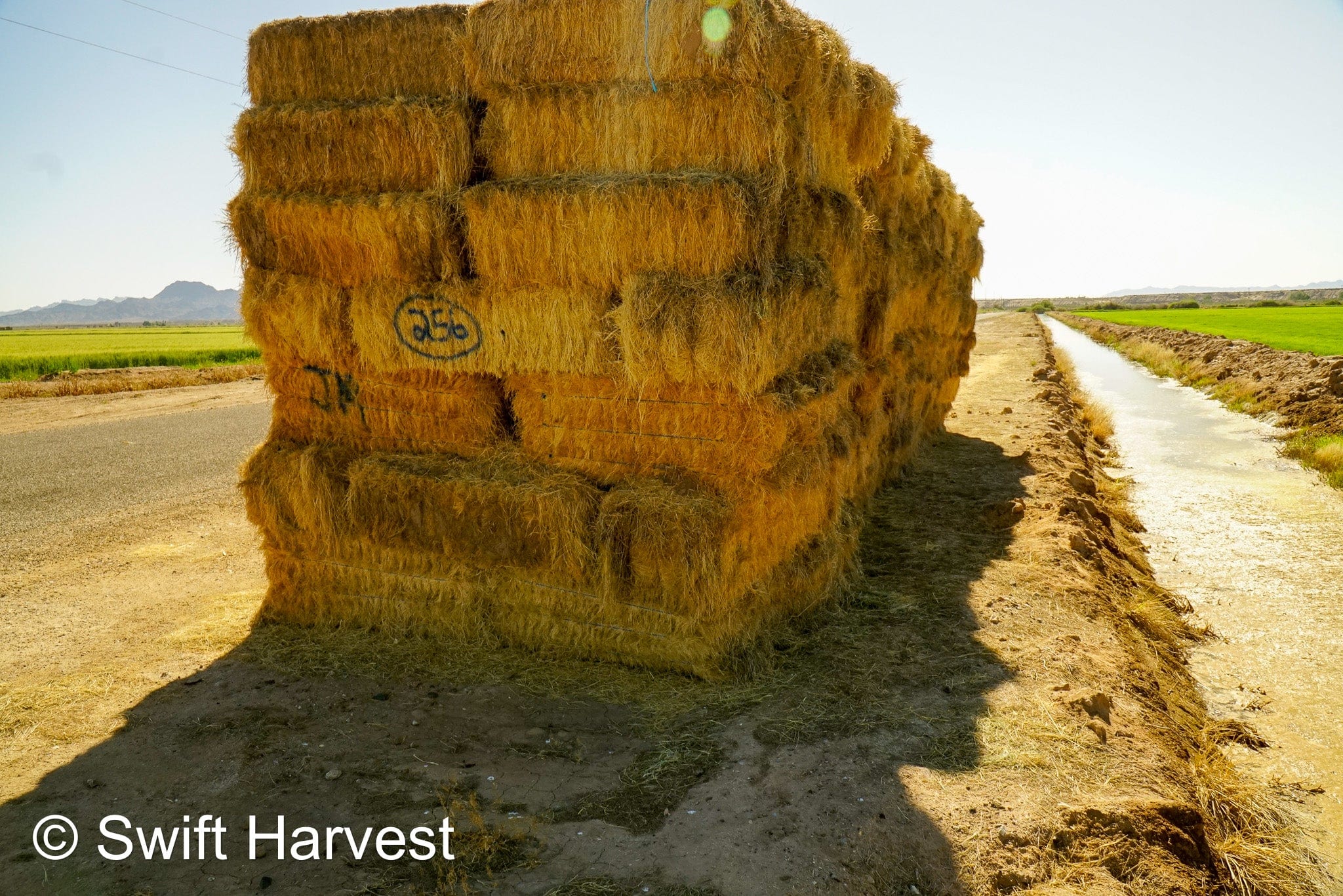 Martinez Farms Retail Bermuda Hay M1-B Bermuda 3-String Hay under 100 lbs