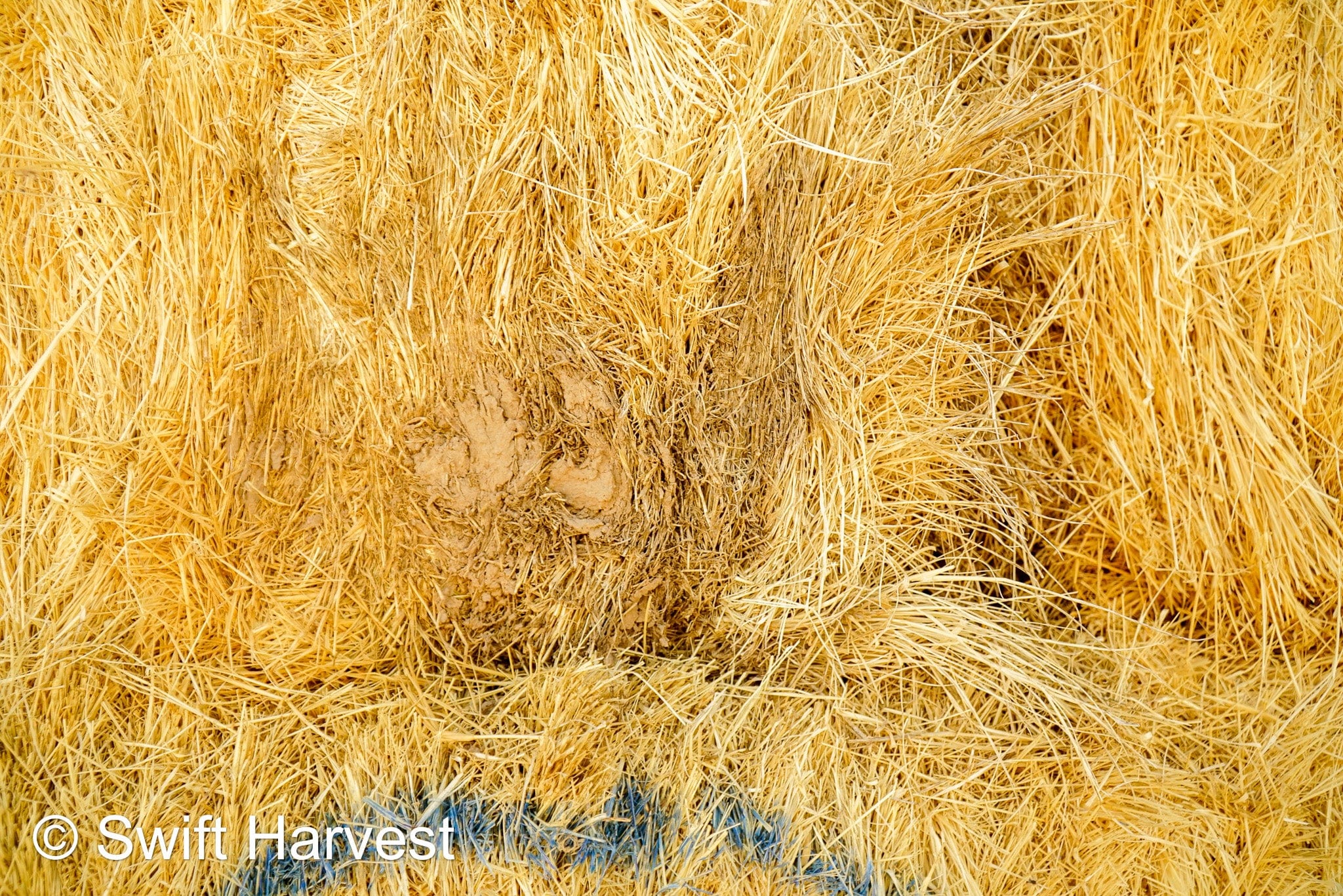 Martinez Farms Retail Bermuda Hay M1-B Bermuda 3-String Hay under 100 lbs