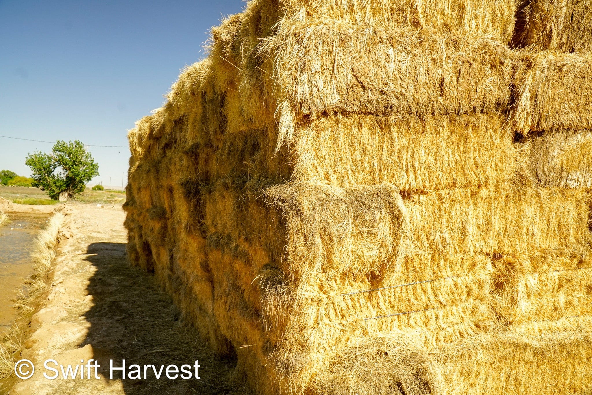 Martinez Farms Retail Bermuda Hay M1-B Bermuda 3-String Hay under 100 lbs