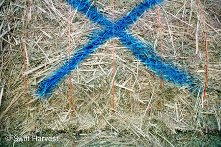 Ray Martinez Farms Alfalfa Big Bales RM-1-F1-4