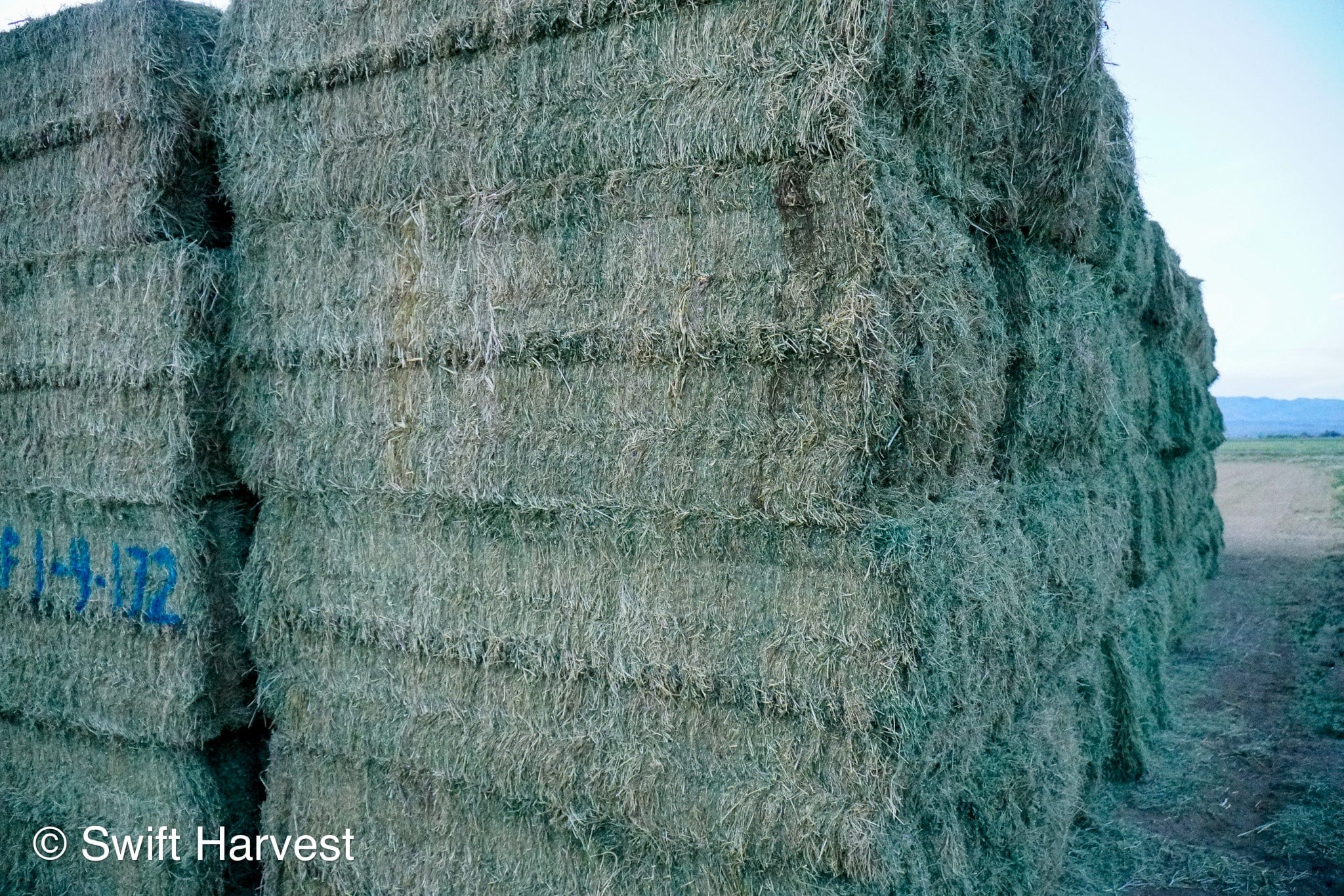 Ray Martinez Farms Alfalfa Big Bales RM-1-F1-4