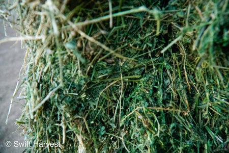 Ray Martinez Farms Alfalfa Big Bales RM-1-F1-4