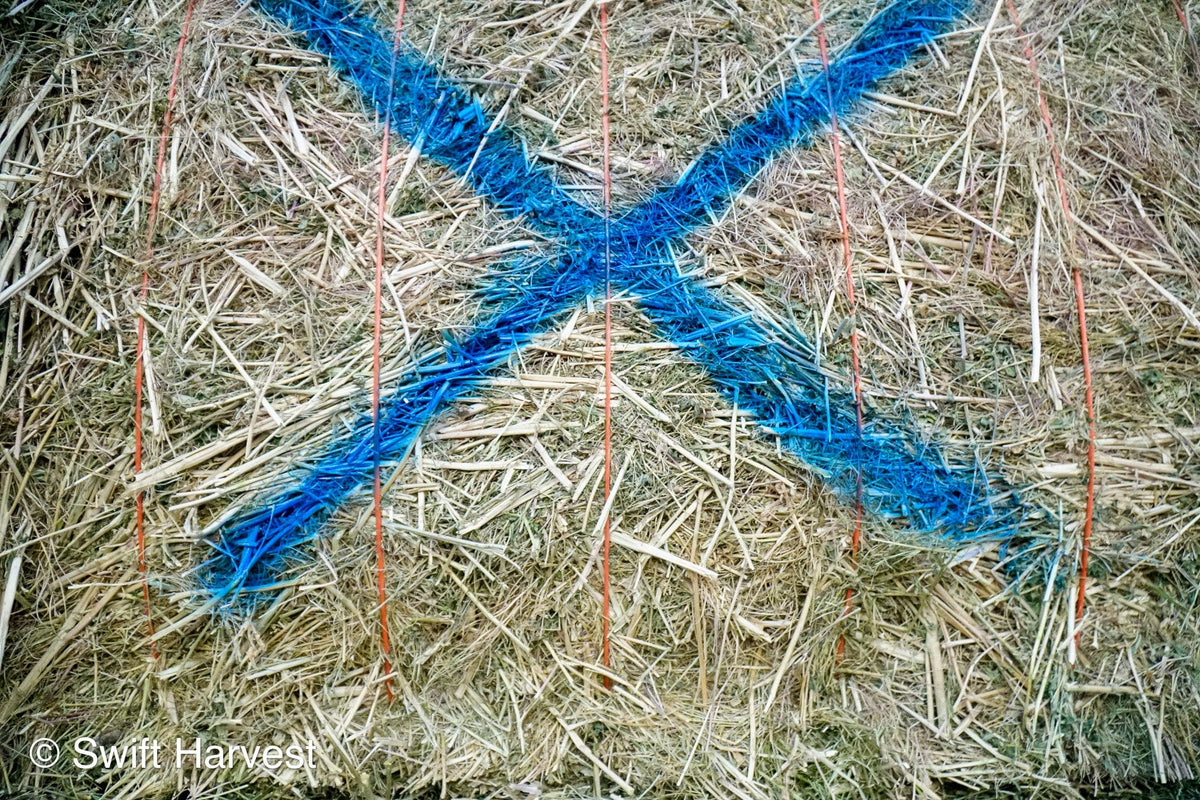 Ray Martinez Farms Alfalfa Big Bales RM-1-F1-4