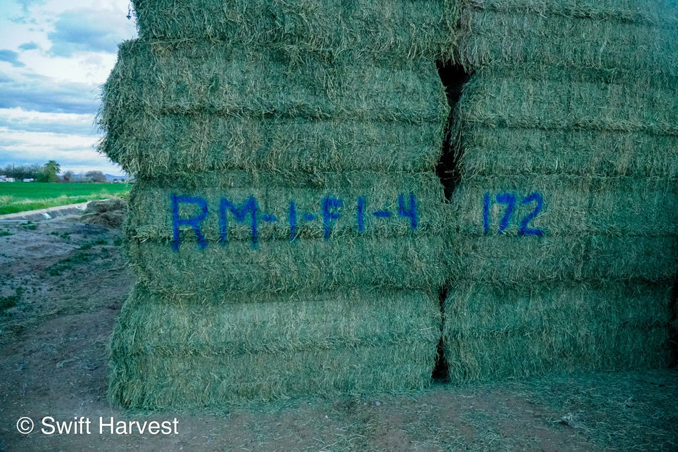 Ray Martinez Farms Alfalfa Big Bales RM-1-F1-4