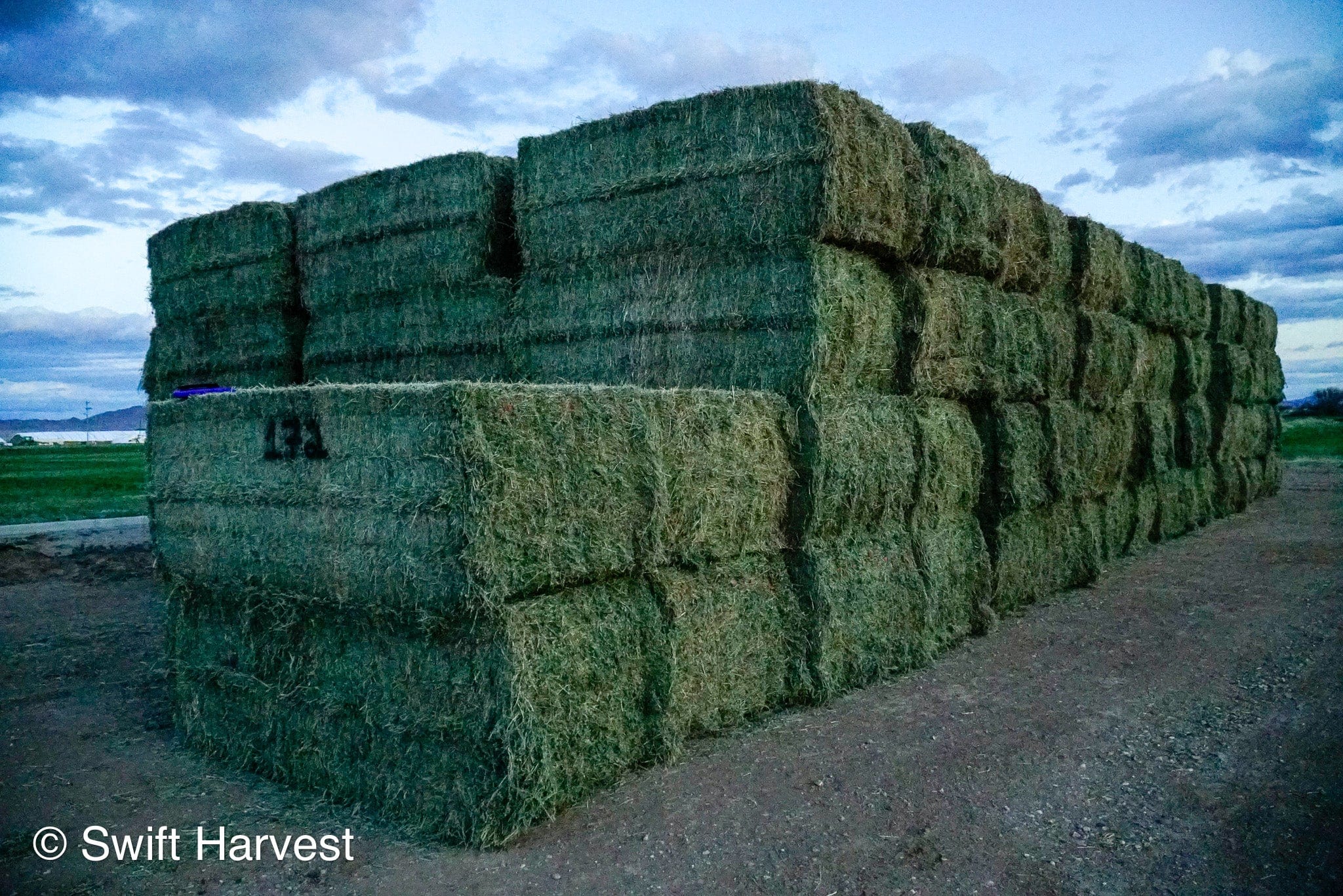 Ray Martinez Farms Alfalfa Big Bales RM-1-F1-4