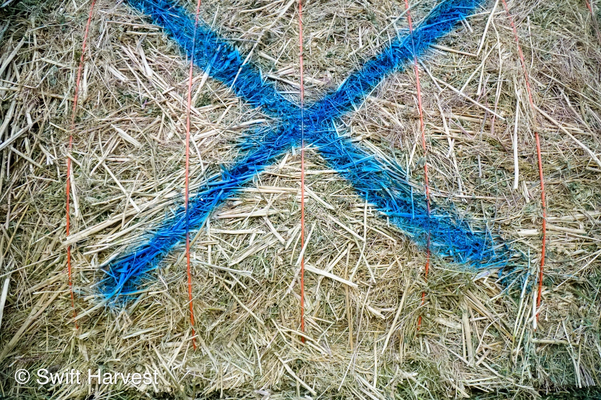 Ray Martinez Farms Alfalfa Big Bales RM-1-F1-4