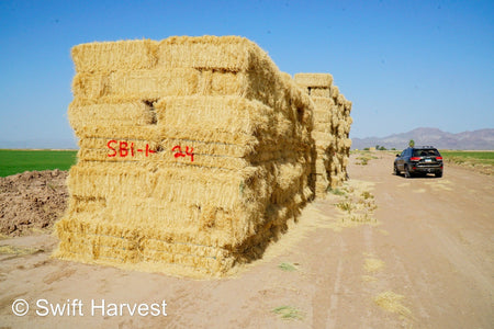 Stuart Bennett Farms bermuda small bales SB-1-1-24 Bermuda FACS 104/110