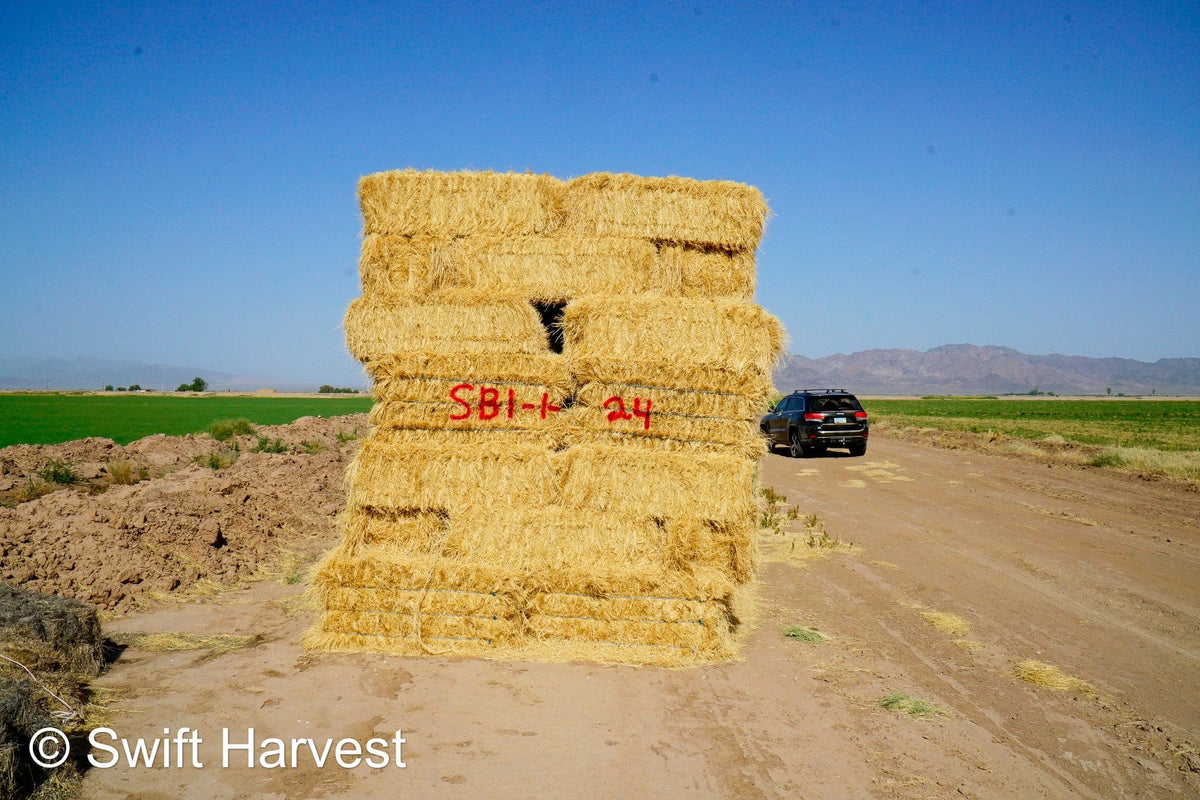 Stuart Bennett Farms bermuda small bales SB-1-1-24 Bermuda FACS 104/110