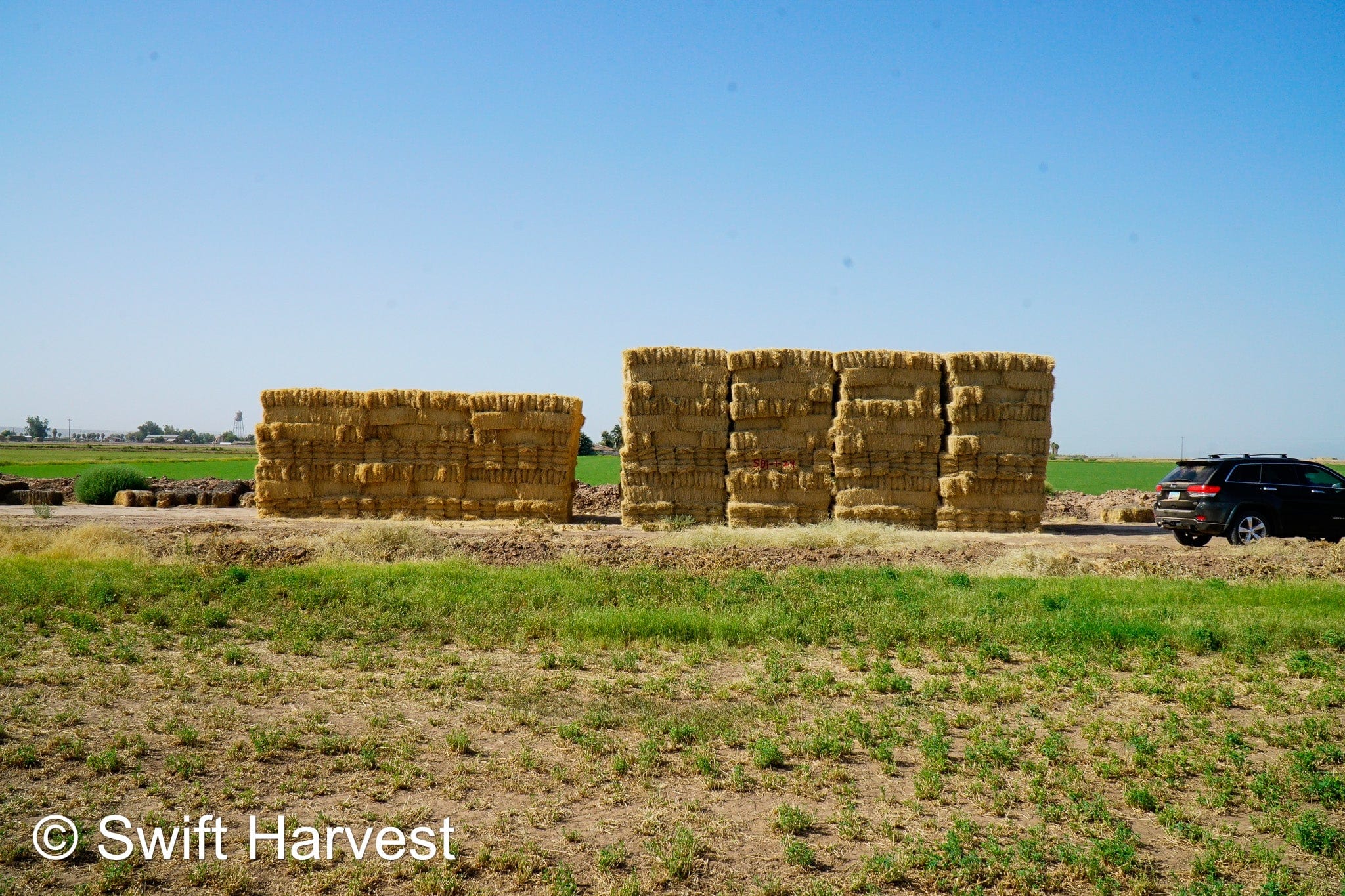 Stuart Bennett Farms bermuda small bales SB-1-1-24 Bermuda FACS 104/110