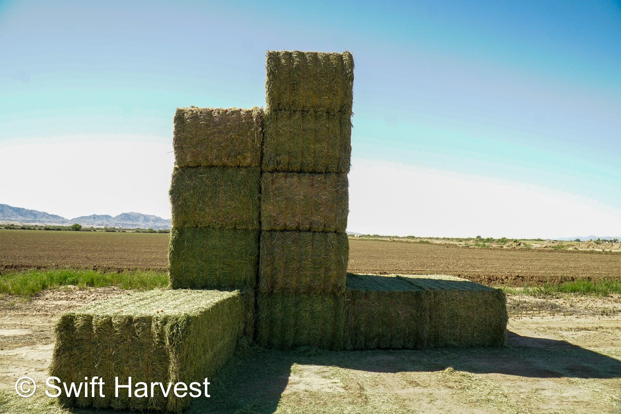 Stuart Bennett Farms SB 24-2-C Supreme Test Hay Arizona Alfalfa Big Bales per ton