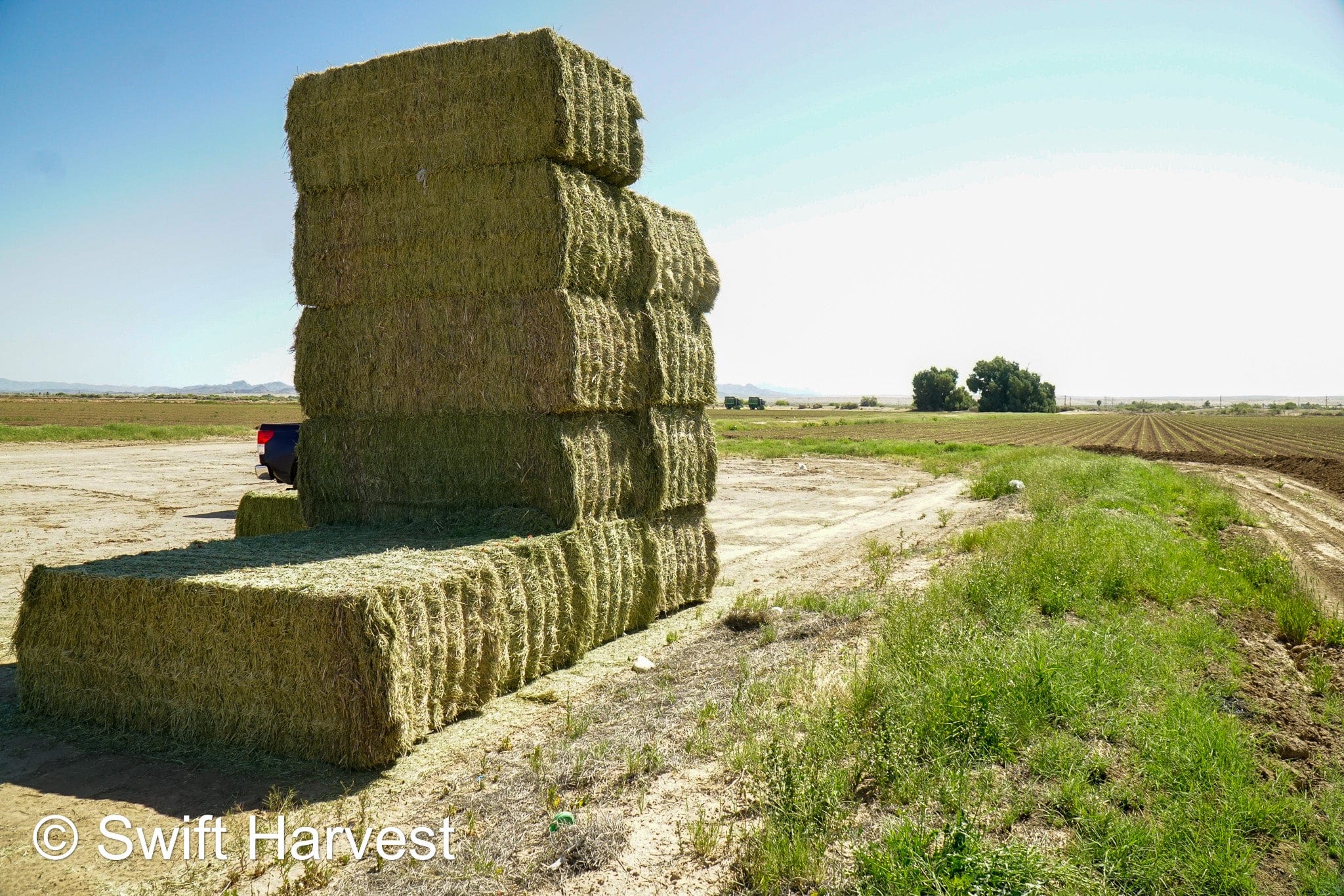 Stuart Bennett Farms SB 24-2-C Supreme Test Hay Arizona Alfalfa Big Bales per ton