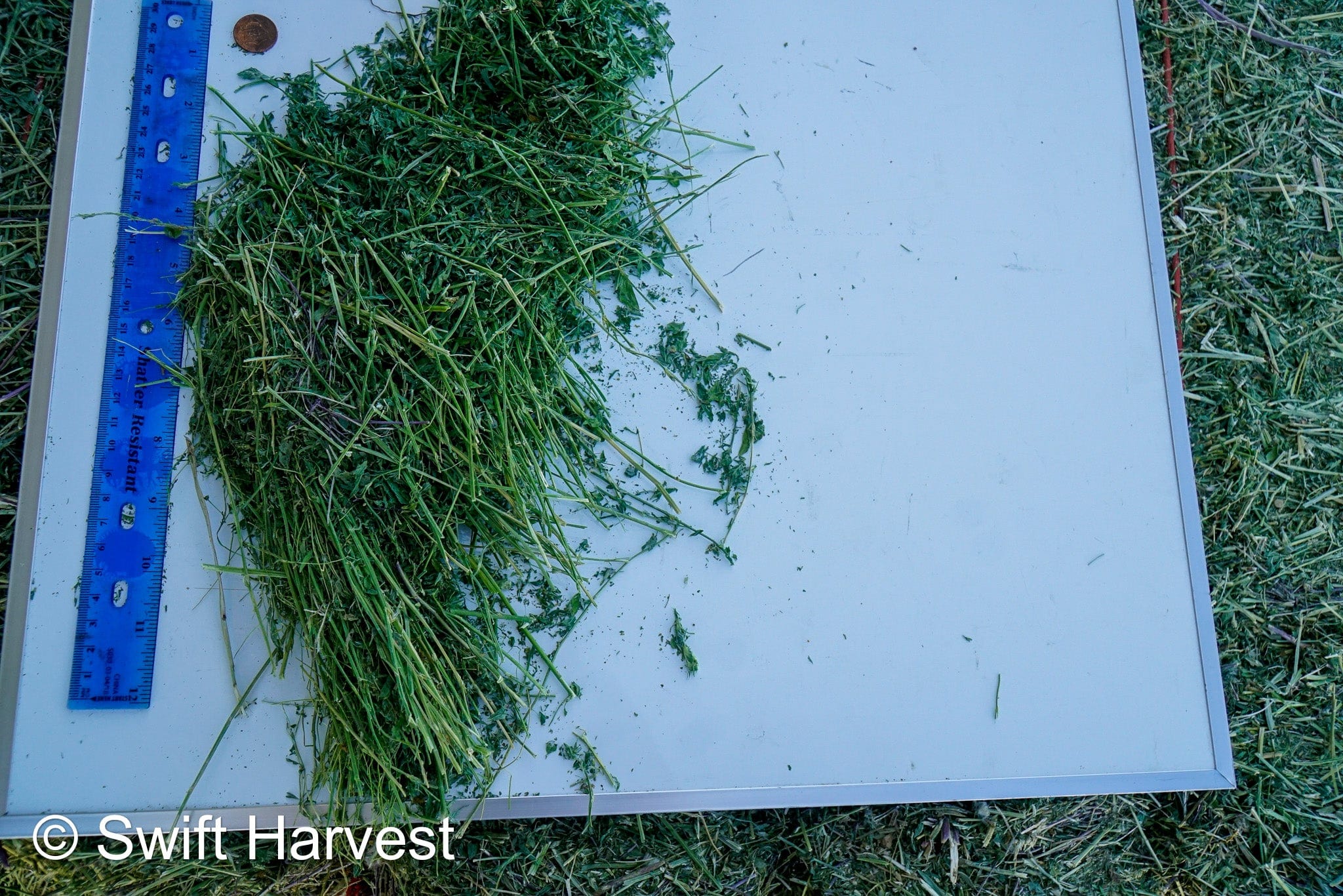 Stuart Bennett Farms SB 24-2-C Supreme Test Hay Arizona Alfalfa Big Bales per ton