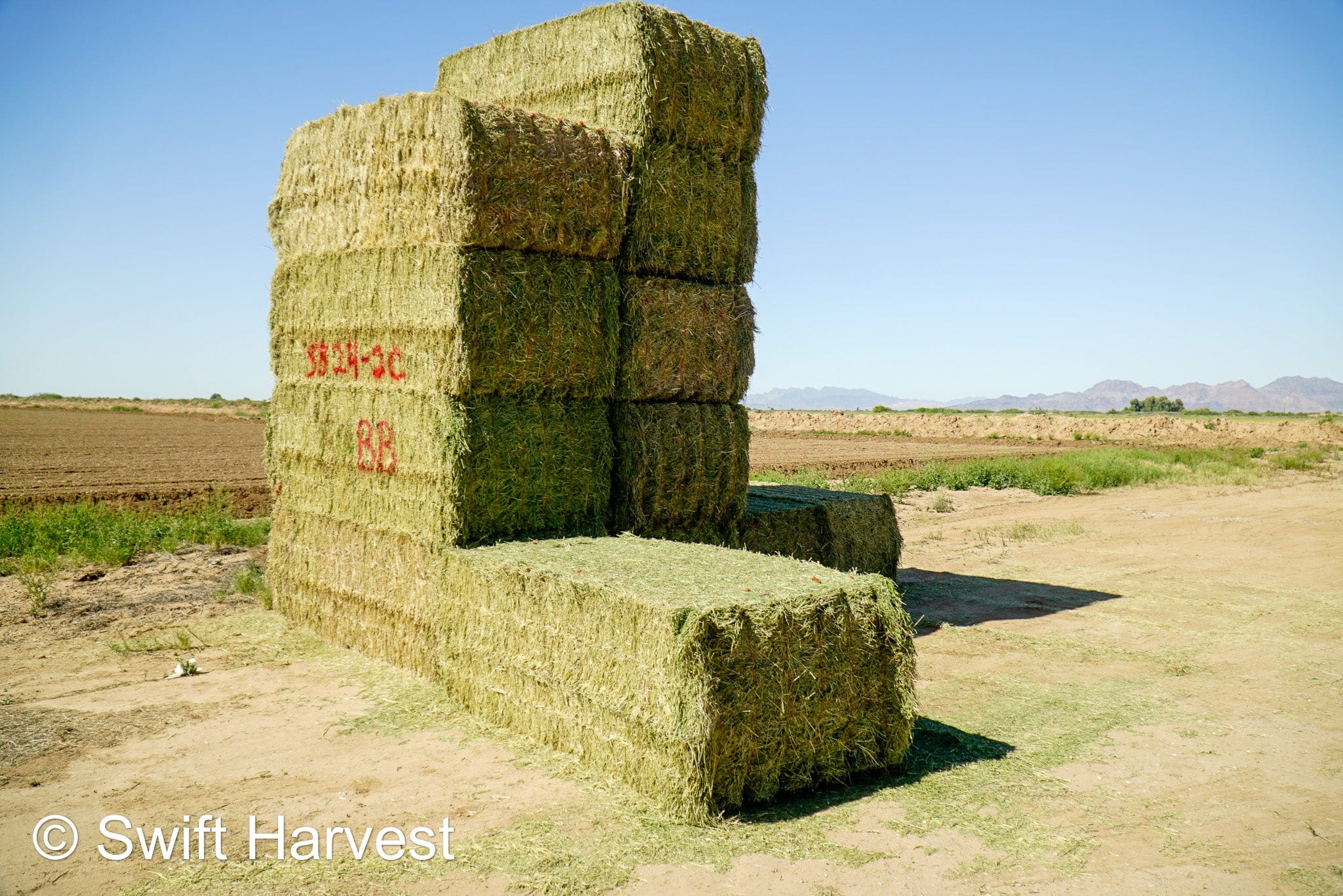 Stuart Bennett Farms SB 24-2-C Supreme Test Hay Arizona Alfalfa Big Bales per ton